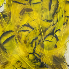 Load image into Gallery viewer, Lady Amherst Neck Feathers