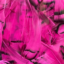 Load image into Gallery viewer, Lady Amherst Neck Feathers