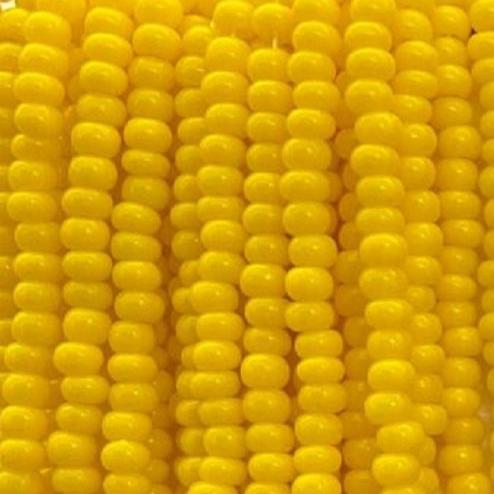 6/0 099 Corn Yellow