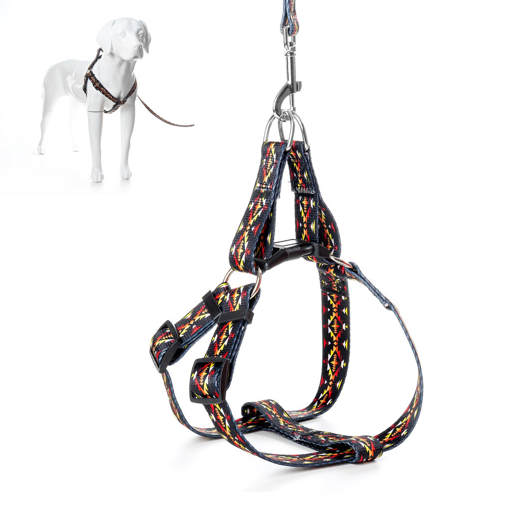 Small Pet Leash and Harness Set, 6 Foot