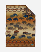 Load image into Gallery viewer, Pendleton Baby/Crib Blanket
