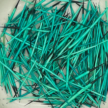 Load image into Gallery viewer, Porcupine Quills- 2 Gram Bags
