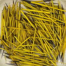 Load image into Gallery viewer, Porcupine Quills- 2 Gram Bags
